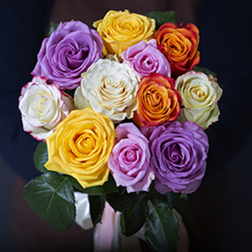 11 Roses 50 cm Ecuadorian Mix