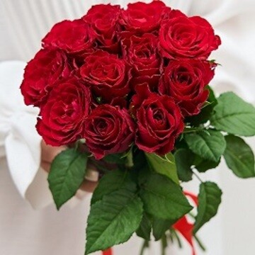 11 Kenyan Red Roses 40 cm