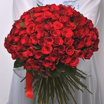 101 Red Kenyan Rose